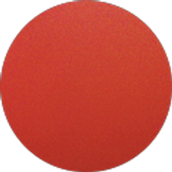 Profile photo of Yorman Molina