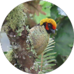 Profile photo of Kathy Holland