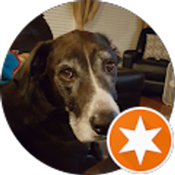 Profile photo of Josh Brown