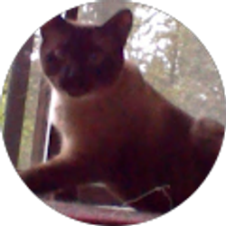 Profile photo of Karen Lee