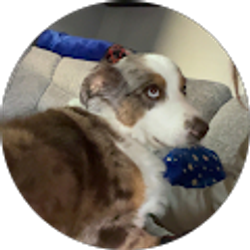 Profile photo of Kayley Kinnaird