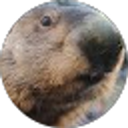 Profile photo of Dan Rosa