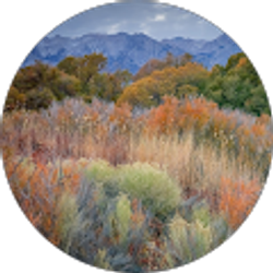 Profile photo of Ektachrome (AlanT)