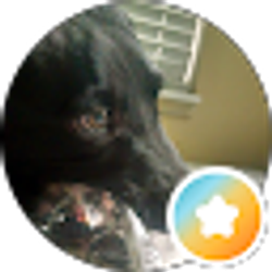Profile photo of Kimbarlie Zimmerman