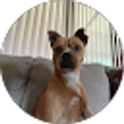 Profile photo of Carson kohl