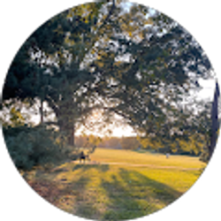 Profile photo of Sahar Faizan