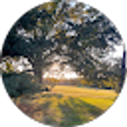 Profile photo of Sahar Faizan