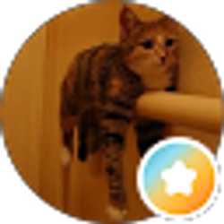 Profile photo of Jon