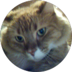 Profile photo of Jim Wizz