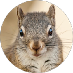 Profile photo of Alan