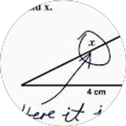 Profile photo of Eli U