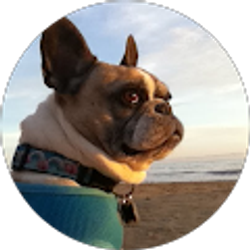 Profile photo of Christine Nguyen