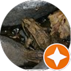 Profile photo of Michelle Button