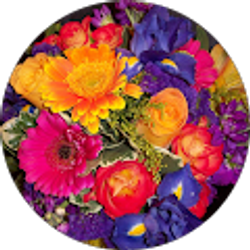 Profile photo of Genevieve Stoyak