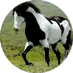 Profile photo of Jesus Angeles