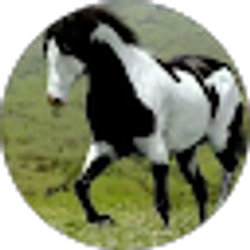 Profile photo of Jesus Angeles