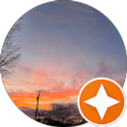 Profile photo of kim macciola