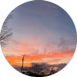 Profile photo of kim macciola