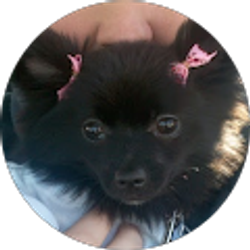 Profile photo of Jamie Wilkins
