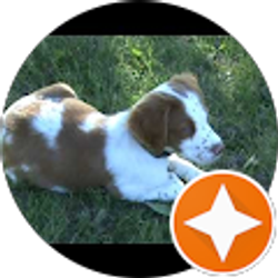 Profile photo of michael barlow