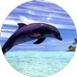 Profile photo of Trish Means