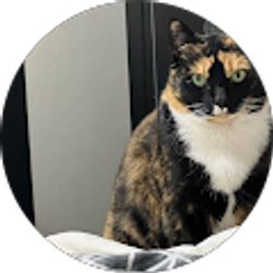 Profile photo of Richard Lanier