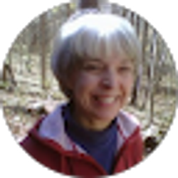 Profile photo of Sue B