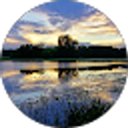 Profile photo of Tim Peschman