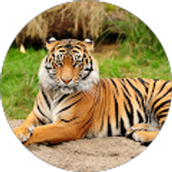 Profile photo of Venkat Chamarthy