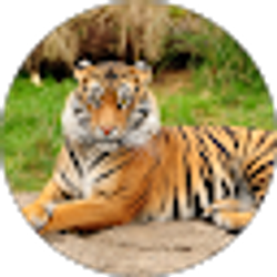 Profile photo of Venkat Chamarthy