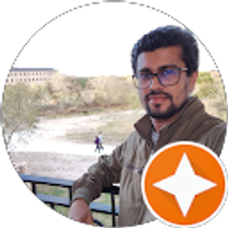 Profile photo of Md Salahuddin Majumder