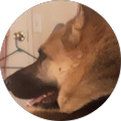 Profile photo of Shelly Rau