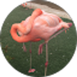 Profile photo of CUNPU BO