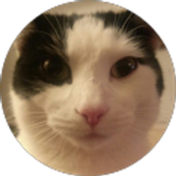 Profile photo of Mark Huesman