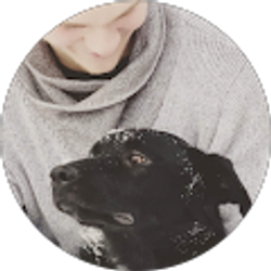 Profile photo of Cayden Nystul