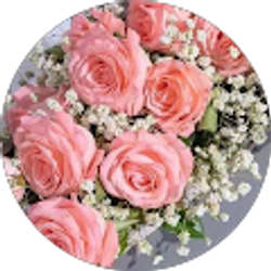 Profile photo of Max H.