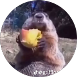 Profile photo of Cesar Rodriguez