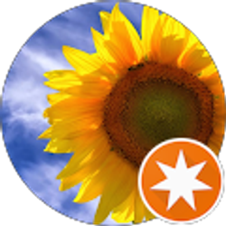 Profile photo of Melissa Campbell