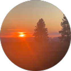 Profile photo of Kylie Brown