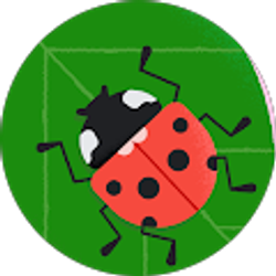 Profile photo of Ana Gutierrez-Lanz