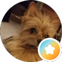 Profile photo of Charles Pham