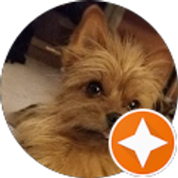 Profile photo of Charles Pham