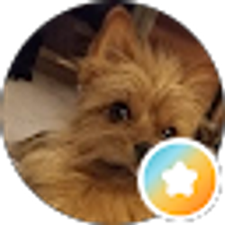 Profile photo of Charles Pham