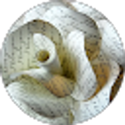 Profile photo of Autumn Miller