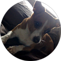 Profile photo of Linkin