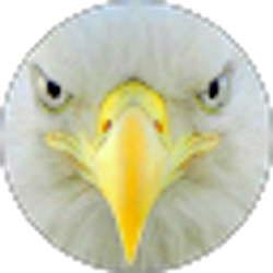 Profile photo of ANDRES RIVEROS LABARCA
