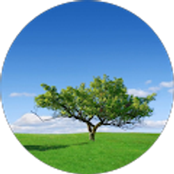 Profile photo of Frances Bruce