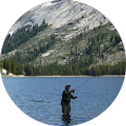 Profile photo of Gerald Mecca