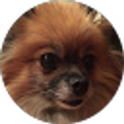 Profile photo of Thai Nguyen