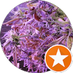 Profile photo of Henry Reeves